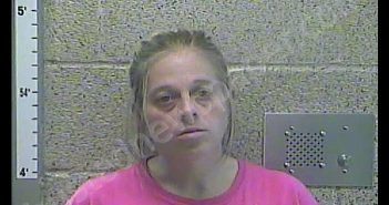 KRISTIN NICOLE WRIGHT | 2018-12-04 17:07:00 Henderson County, Kentucky Booking