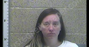 SUSANNE C GOSNELL | 2018-12-04 12:51:00 Henderson County, Kentucky Booking