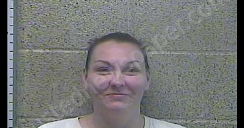 BEATRICE L VICKERS | 2018-12-04 12:02:00 Henderson County, Kentucky Booking