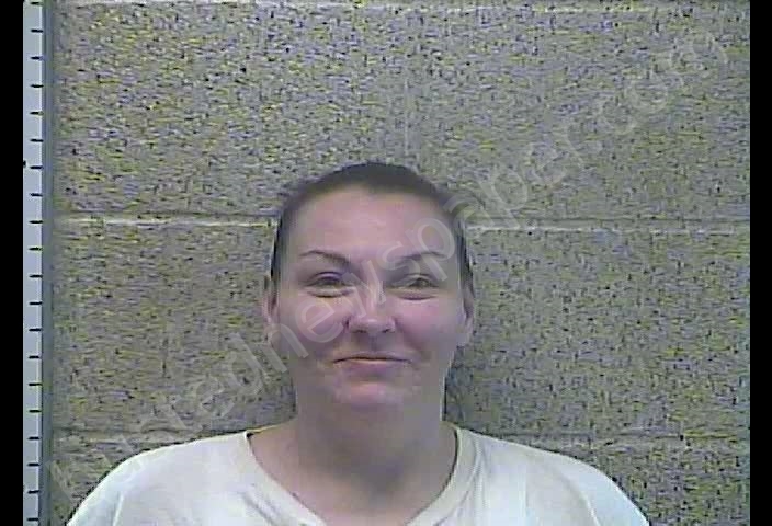 BEATRICE L VICKERS #, Henderson County, Kentucky - 2018-12-04 12:02:00
