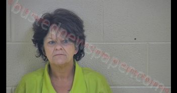 SAMANTHA R SHEPHERD | 2018-12-04 17:43:00 Taylor County, Kentucky Booking