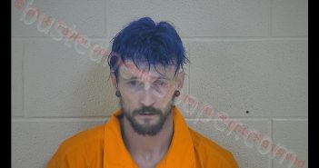 ROBERT RAY MINGS | 2018-12-04 01:01:00 Taylor County, Kentucky Booking