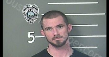 DAVID PEARSON | 2018-12-05 16:22:00 Pike County, Kentucky Booking