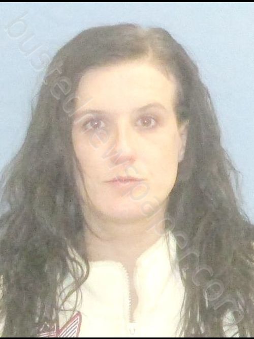 SUMPTER,MELISA DAWN #, Pulaski County, Arkansas - 2018-12-10 00:25:00
