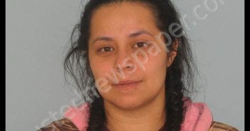 GUZMAN, MICHELLE LYDIA | 2018-12-10 Andrews County, Texas Booking