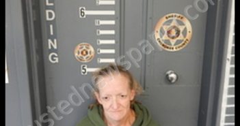 CAROL ANN CALAWAY | 2018-12-10 15:16:00 Cherokee County, Alabama Booking