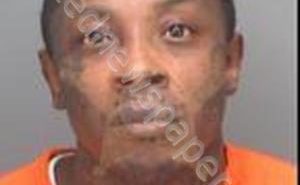 GRAVES, REGINALD | 2018-12-13 10:27:16 Pinellas County, Florida Booking