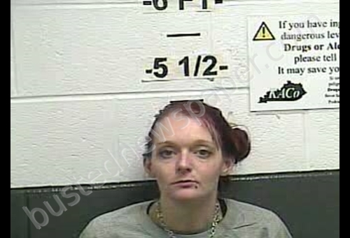 APRIL LEANN BURNETTE #, Whitley County, Kentucky - 2018-12-14 21:10:00