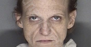 PARHAM, MAJORIE SUZANNE | 2018-12-15 16:44:00 Ellis County, Texas Booking