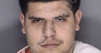 MENDEZ, JAIRO | 2018-12-15 03:54:00 Ellis County, Texas Booking