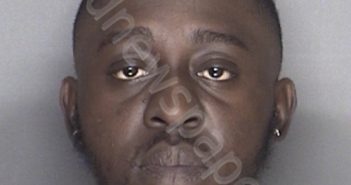ADALUMO, OLANIYI | 2018-12-16 18:44:00 Ellis County, Texas Booking
