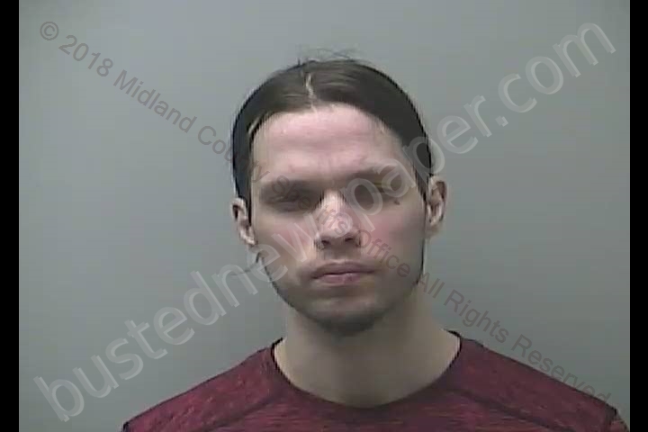BRANDON ALAN OVERSTREET #, Midland County, Michigan - 2018-12-16 03:27:00