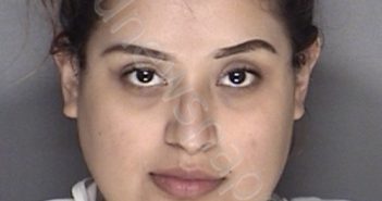 LOERA, MECHELLE NATALIA | 2018-12-17 06:37:00 Ellis County, Texas Booking