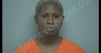 APRIL CHARMAINE STEWARD | 2018-12-17 11:06:52 Beaufort County, South Carolina Booking