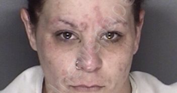 GARITE, BRITTANY JANELL | 2018-12-17 04:06:00 Ellis County, Texas Booking