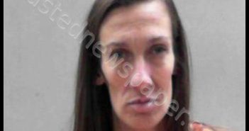 MINOR, JULIA ANN | 2018-12-17 14:30:00 Tyler County, West Virginia Booking