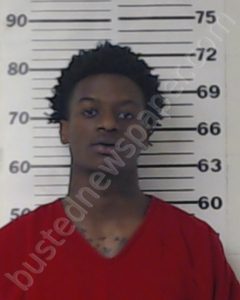 WATKINS, ADARIUS DEMOND | 2018-12-17 Henderson County, Texas Booking