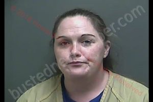 HEATHER NICHOLE HARRIS | 2018-12-18 21:07:00 Howard County, Indiana Booking