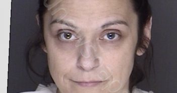 VANTREESE, CECILE NICOLE | 2018-12-18 15:25:00 Ellis County, Texas Booking