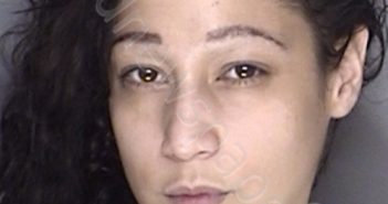 VASQUEZ, HALEY MARIE | 2018-12-18 00:48:00 Ellis County, Texas Booking