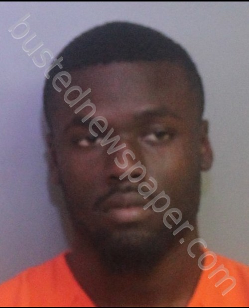 HAYNES, TERRIYON KE’VANTE #, Polk County, Florida - 2018-12-19