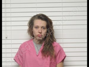 LACY DAWN STARK | 2018-12-19 13:06:00 Christian County, Missouri Booking