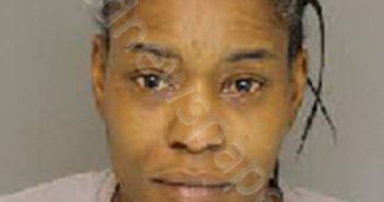EWINGS, MEGAN YOVNNE | 2018-12-19 10:00:00 Moore County, North Carolina Booking