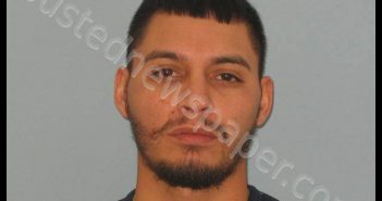 ANAYA, ROGELIO, JR | 2018-12-22 Andrews County, Texas Booking