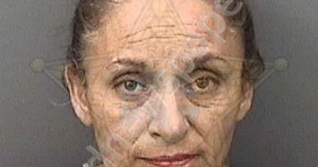 ROCHA, FLOR ESTELLA | 2018-12-22 13:39:00 Hillsborough County, Florida Booking