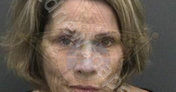 GURA, MONICA HELENE | 2018-12-22 02:17:00 Hillsborough County, Florida Booking