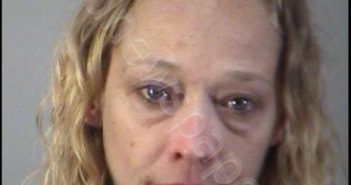 JENNIFER MARIE ALDERMAN | 2018-12-26 16:34:00 Lake County, Florida Booking