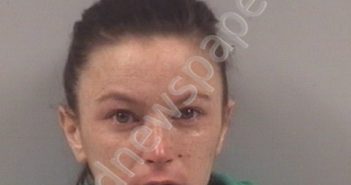 <B>CHASITY</B> NICOLE <B>JOHNSON</B> #, Johnston County, North Carolina - 2018-12-27