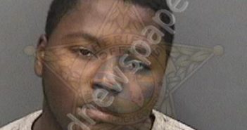 DENSON, TIMOTHY PETE | 2018-12-28 10:42:00 Hillsborough County, Florida Booking