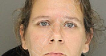 SELLERS, STEPHANIE DENISE | 2018-12-28 19:00:00 Moore County, North Carolina Booking
