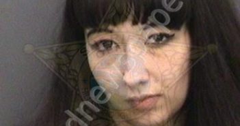 SMITH, CASEY CIARAMANN | 2018-12-28 15:42:00 Hillsborough County, Florida Booking