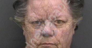 LESKE, JEAN HANCOCK | 2018-12-28 16:11:00 Hillsborough County, Florida Booking