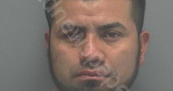 <B>RAMIREZ</B>, <B>TOMAS</B> <B>BERNAL</B> #, Lee County, Florida - 2018-12-28 00:53:00