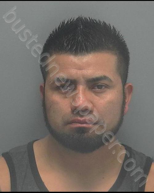 RAMIREZ, TOMAS BERNAL #, Lee County, Florida - 2018-12-28 00:53:00