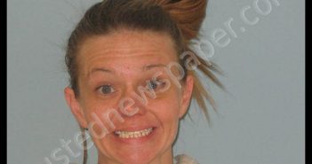 WILSON, JENNAFER KELLY | 2018-12-29 Andrews County, Texas Booking