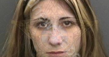 JOHNSON, BRIELLA MICHELLE | 2018-12-29 08:34:00 Hillsborough County, Florida Booking