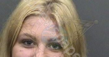 CUSTER, BROOKE ELIZABETH | 2018-12-29 14:23:00 Hillsborough County, Florida Booking