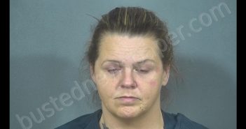 BETHANY NICHOLE LAWTON | 2018-12-30 09:28:00 St. Joseph County, Indiana Booking