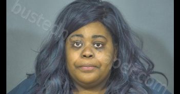 LAUREN RENE WHITAKER | 2018-12-30 14:25:00 St. Joseph County, Indiana Booking