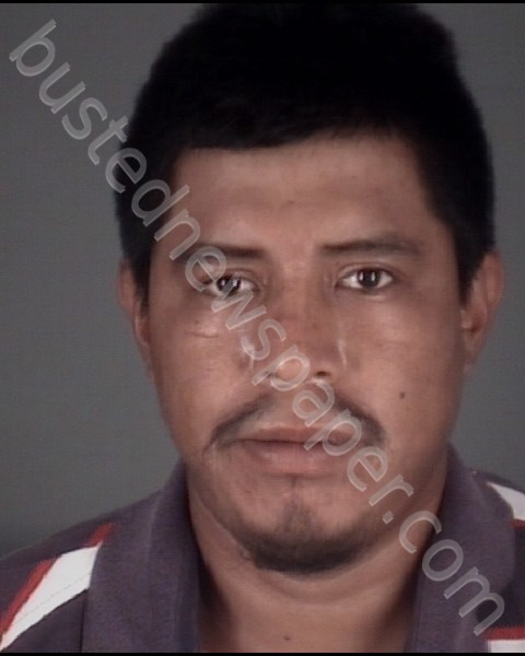 HERNANDEZ-GOMEZ, LUIS ALBERTO #, Pasco County, Florida - 2018-12-31 06:33:00