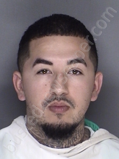 SANCHEZ, HECTOR #, Ellis County, Texas - 2018-12-31 16:32:00