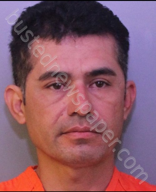 CALVILLO-VIVANCO, EUGENIO #, Polk County, Florida - 2019-01-01