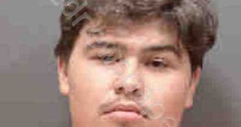 ROMAN, JIMMY | 2019-01-01 Sarasota County, Florida Booking