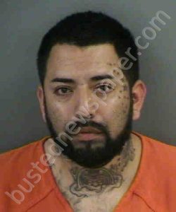 BUENO,JORGE | 2019-01-02 Collier County, Florida Booking