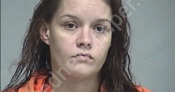 GREER, TIFFANY MICHELLE | 2019-01-02 13:23:00 Nassau County, Florida Booking