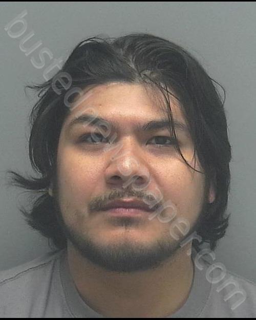 PONCE, JUAN CARLOS #, Lee County, Florida - 2019-01-03 02:45:00